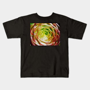 Cactus Rose ~ Succulent Aeonium Kids T-Shirt